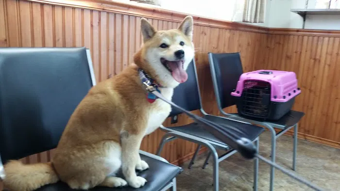 Norwood Veterinary Clinic Picture 2