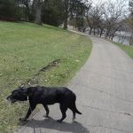 Norwood Veterinary Clinic
