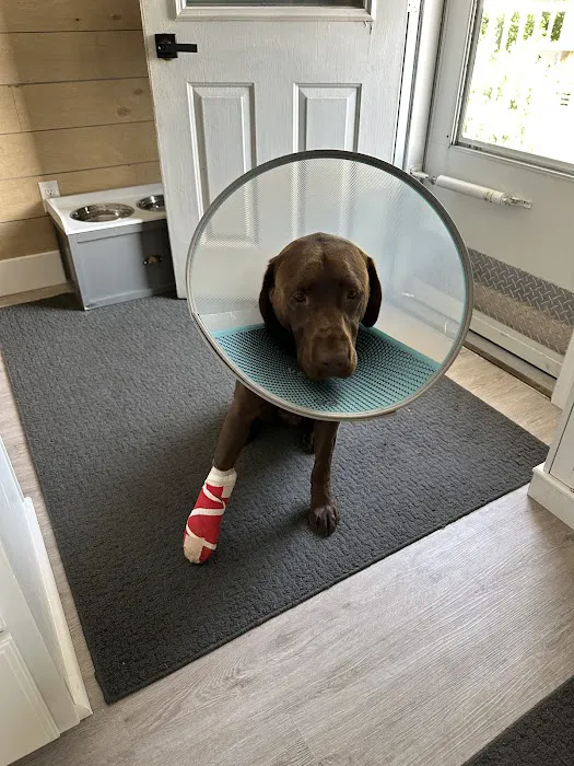 Delano Veterinary Clinic Picture 6