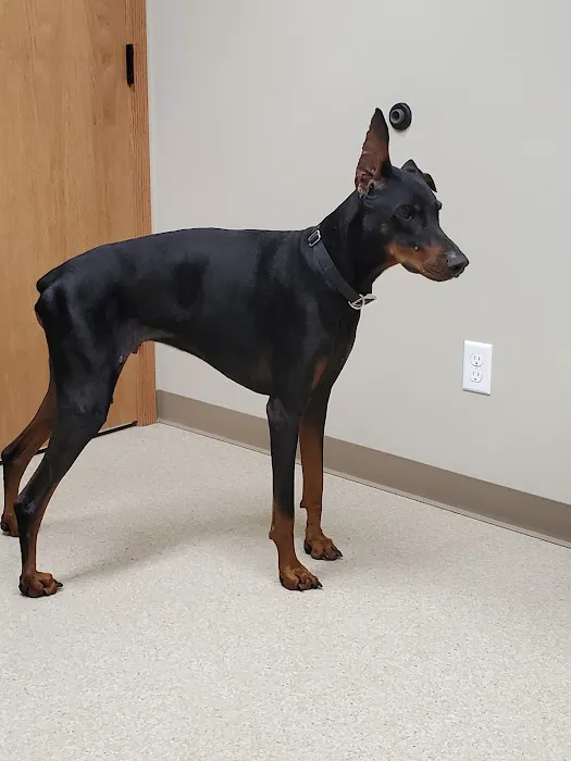 Delano Veterinary Clinic Picture 7
