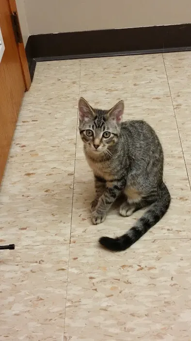 Delano Veterinary Clinic Picture 10