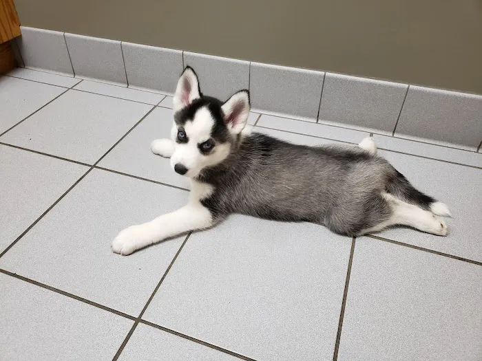 Rockford Veterinary Clinic Picture 4