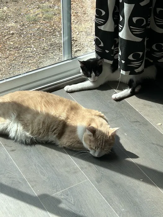 Cornelius Veterinary Clinic Picture 2
