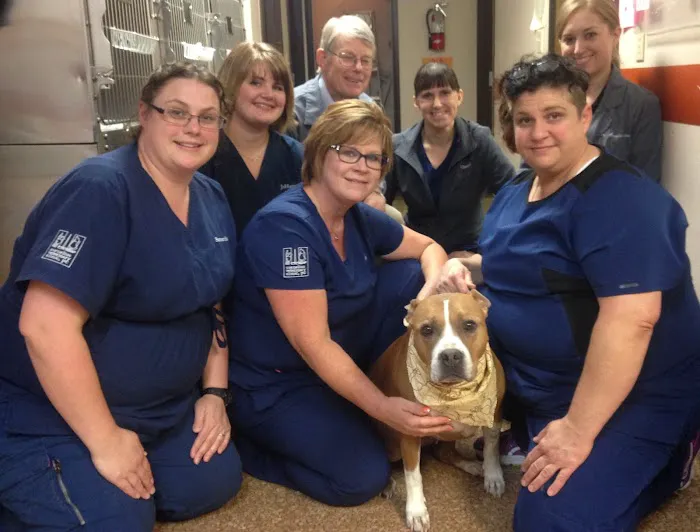 Cornelius Veterinary Clinic Picture 3