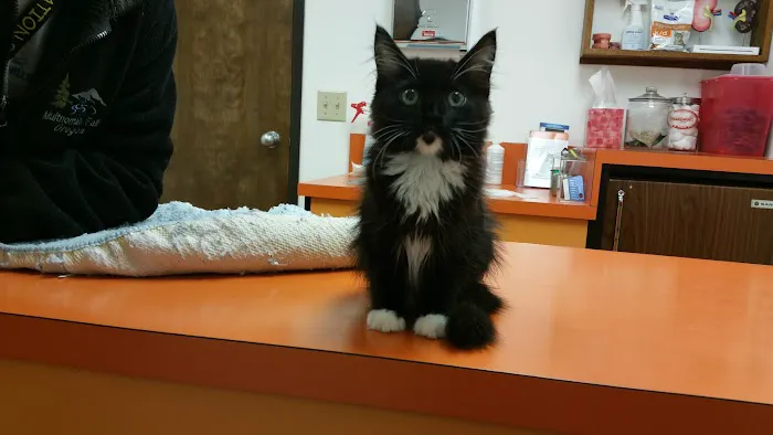 Cornelius Veterinary Clinic Picture 4