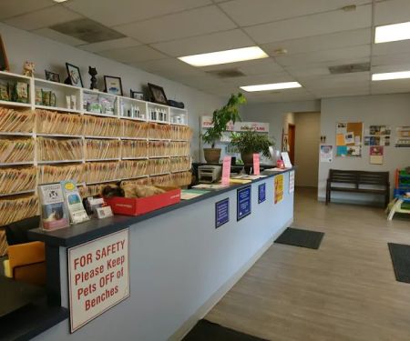 Companion Pet Care