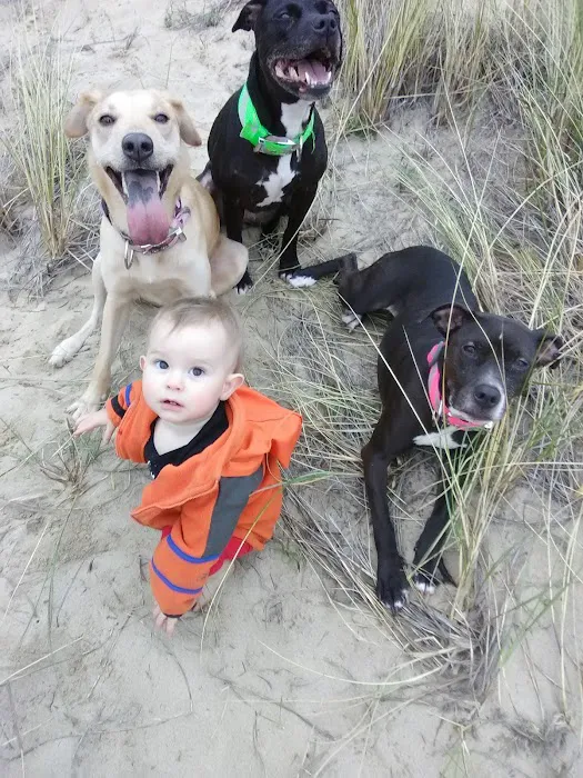 Companion Pet Care Picture 7