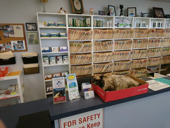 Companion Pet Care Picture 8