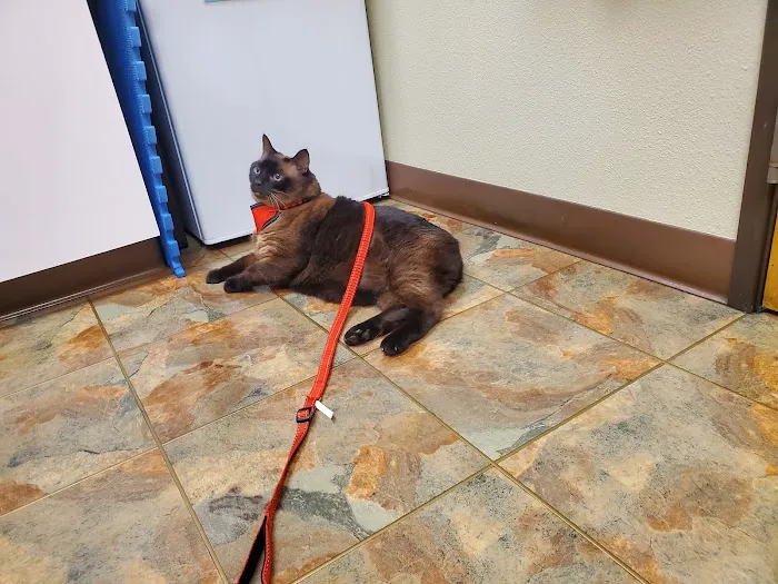 North Plains Veterinary Clinic Picture 7