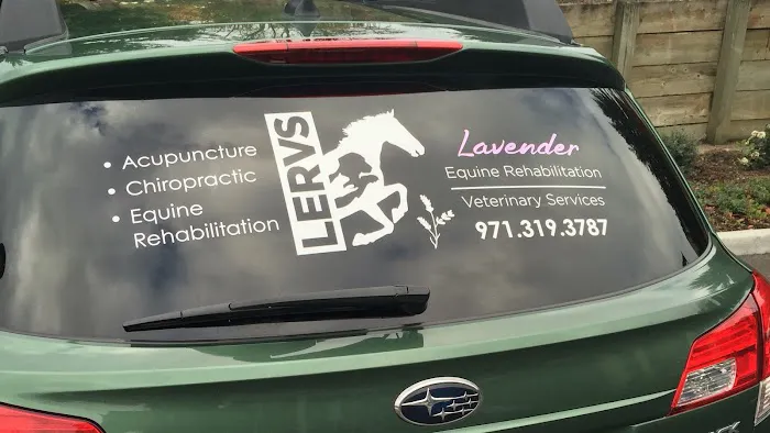 Lavender Equine Rehabilitation & Veterinary Services, LLC Picture 1