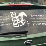 Lavender Equine Rehabilitation & Veterinary Services, LLC