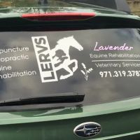 Lavender Equine Rehabilitation & Veterinary Services, LLC ico