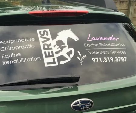 Lavender Equine Rehabilitation & Veterinary Services, LLC