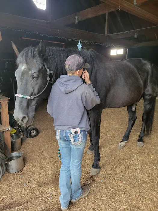 Silverton Equine Veterinary Picture 2