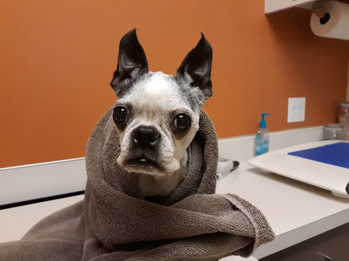 Woodland Veterinary Hospital Picture 4