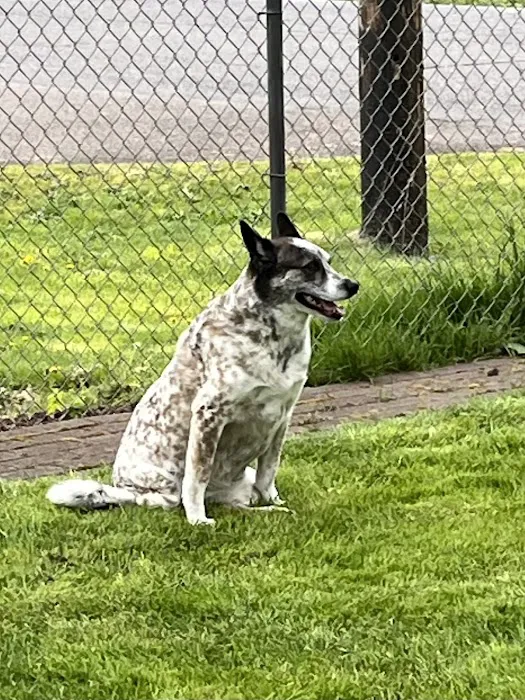 Scappoose Veterinary Hospital Picture 4