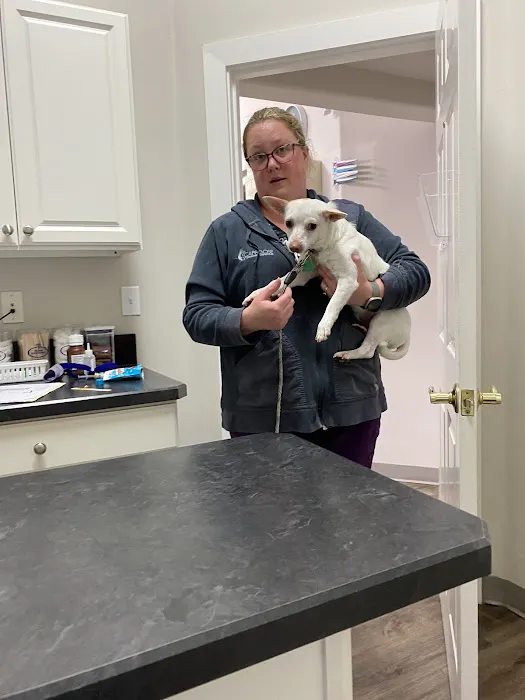 Scappoose Veterinary Hospital Picture 6