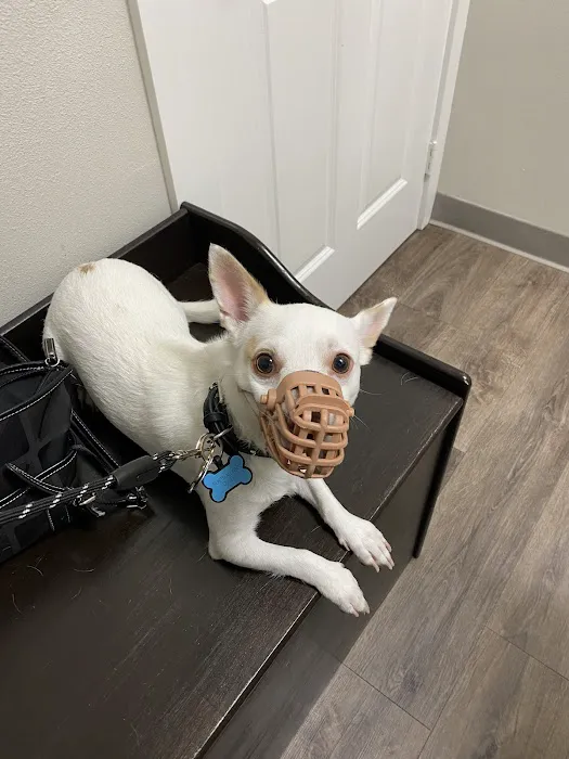 Scappoose Veterinary Hospital Picture 10
