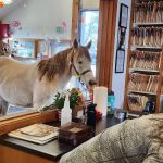 Eagle Fern Equine Hospital