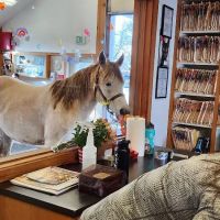 Eagle Fern Equine Hospital ico