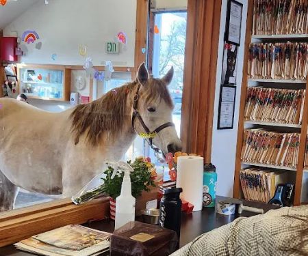 Eagle Fern Equine Hospital