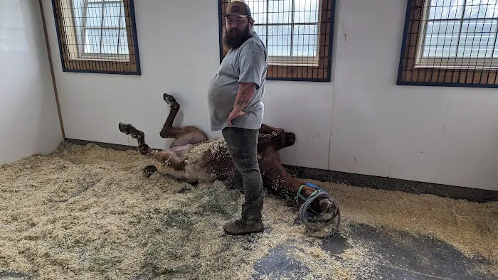 Eagle Fern Equine Hospital Picture 5