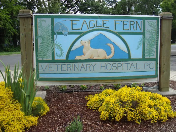 Eagle Fern Veterinary Hospital Picture 8