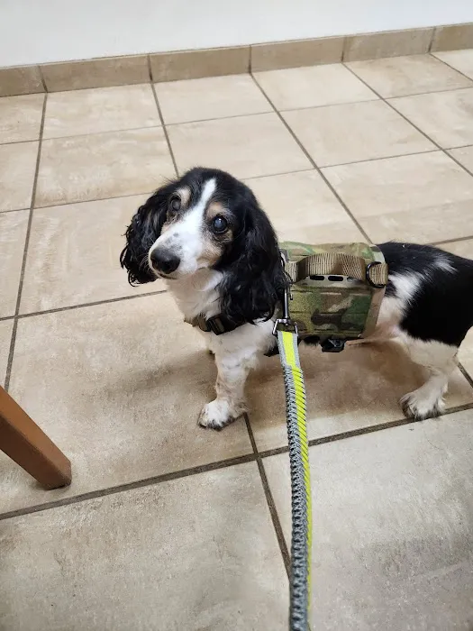 Eagle Fern Veterinary Hospital Picture 4
