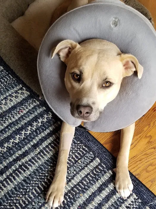 Redstone Animal Hospital Picture 7
