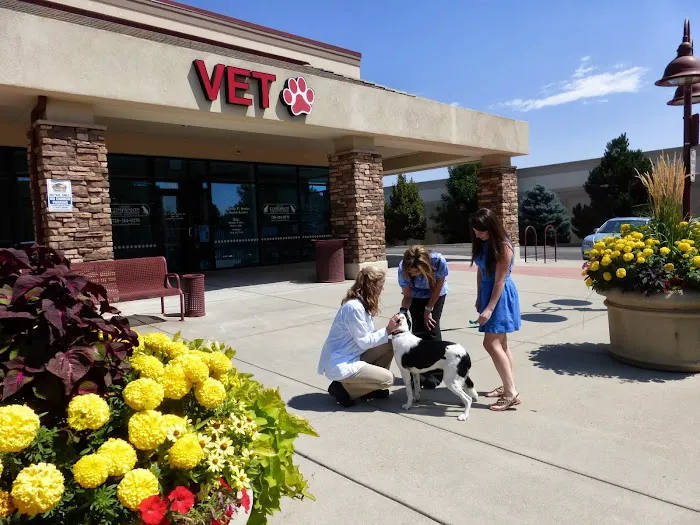 Lafayette Companion Animal Hospital Picture 2