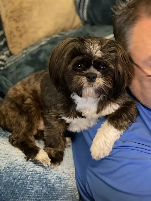 Lafayette Companion Animal Hospital Picture 4