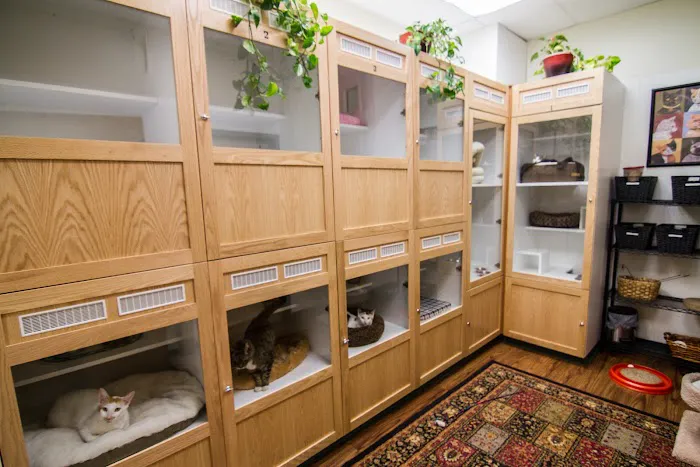 Lafayette Companion Animal Hospital Picture 3