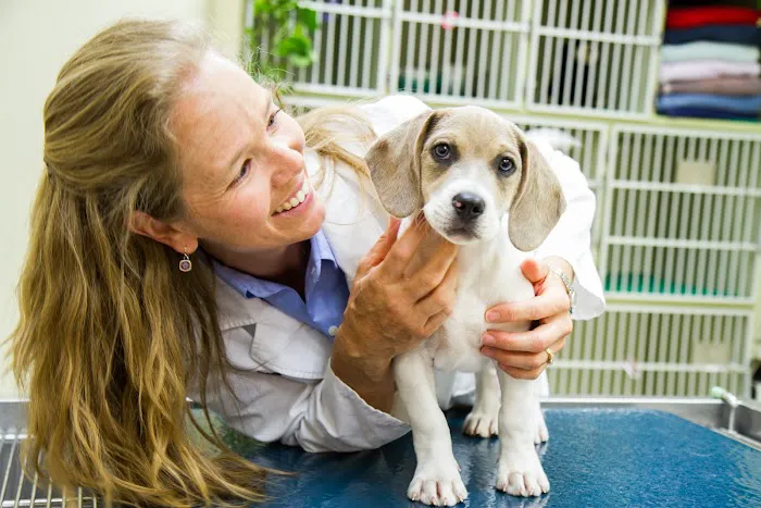 Lafayette Companion Animal Hospital Picture 6