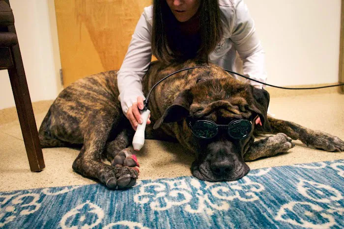 Mountain Ridge Animal Hospital Picture 1