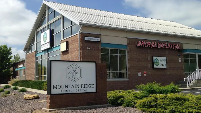 Mountain Ridge Animal Hospital Picture 3