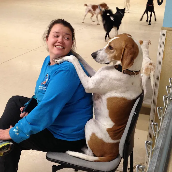 Mountain Ridge Animal Hospital Picture 5