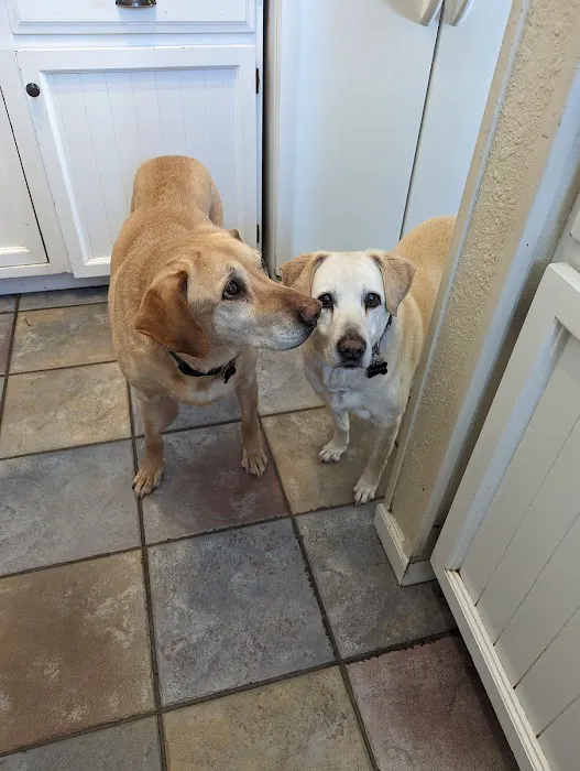 Pets & Pals Veterinary Hospital Picture 1