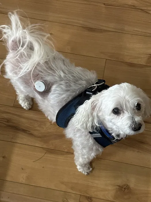 BluePearl Pet Hospital Picture 5