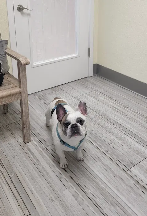 Happy Paws Veterinary Hospital LLC Picture 4
