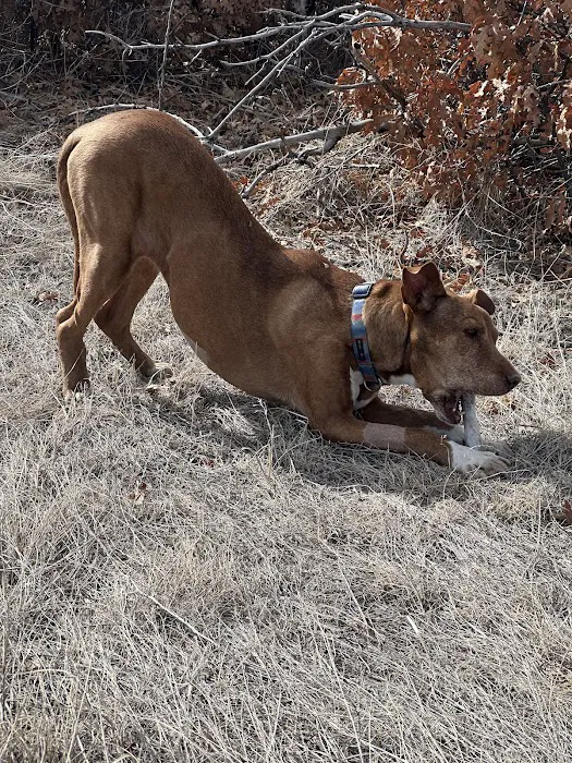 Happy Paws Veterinary Hospital LLC Picture 9
