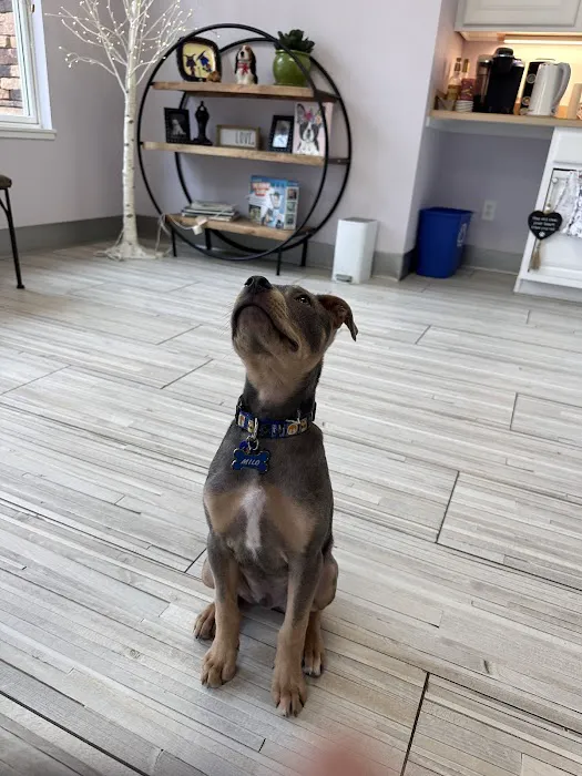 Happy Paws Veterinary Hospital LLC Picture 8