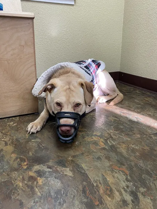 Jasper Animal Hospital Picture 2