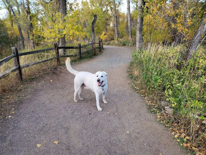 Jasper Animal Hospital Picture 8