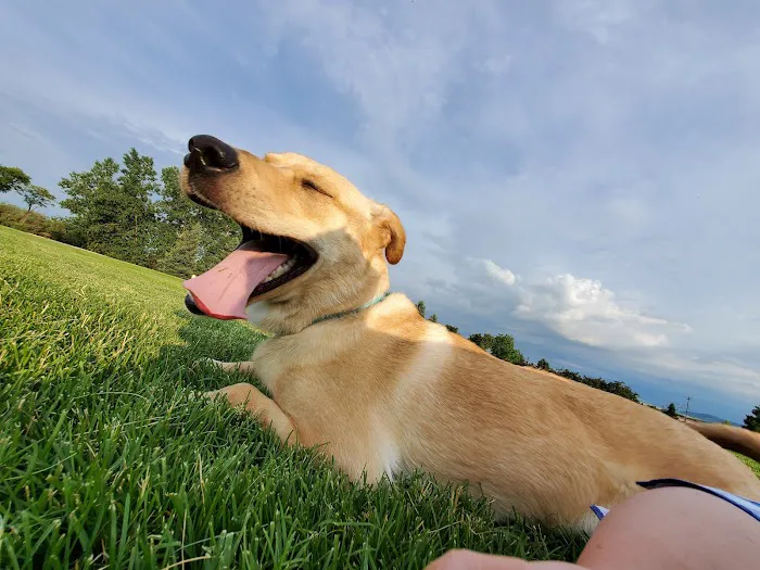 Jasper Animal Hospital Picture 10