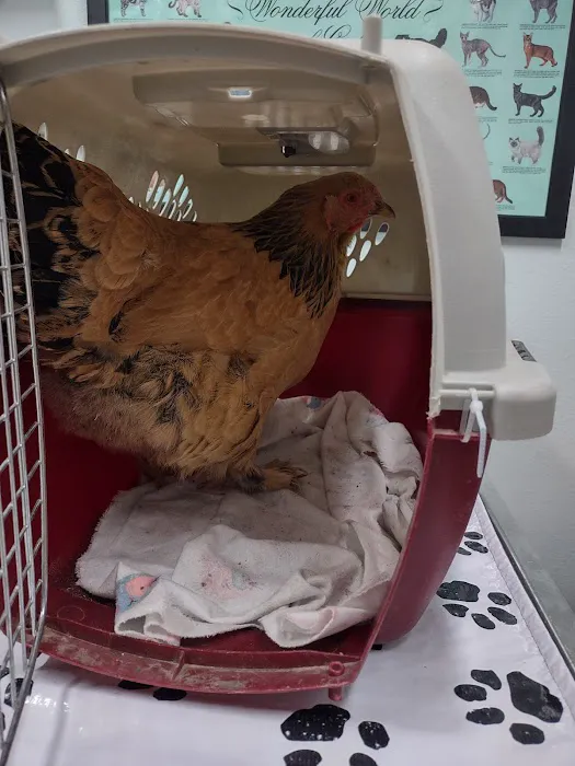 Carbon Valley Veterinary Clinic Picture 8