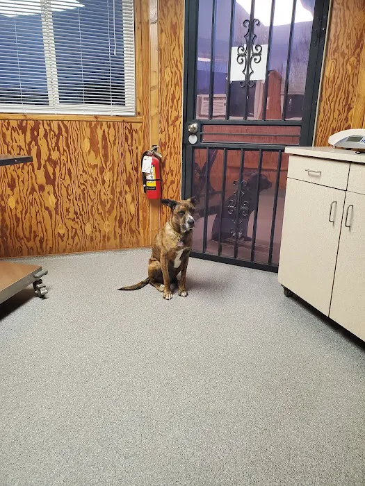 Coal Ridge Animal Hospital Picture 6
