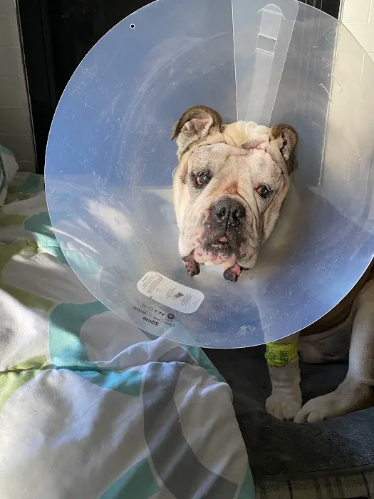 Coal Ridge Animal Hospital Picture 10