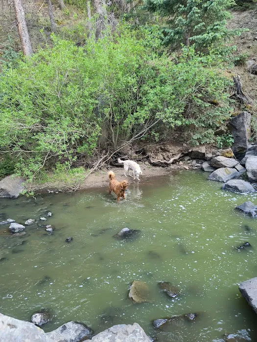 South Boulder Animal Hospital Picture 4