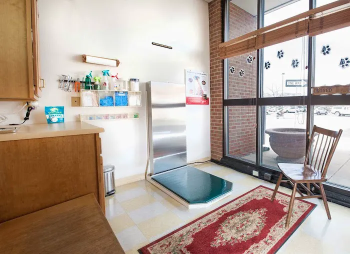 Boulder's Natural Animal Hospital Picture 3