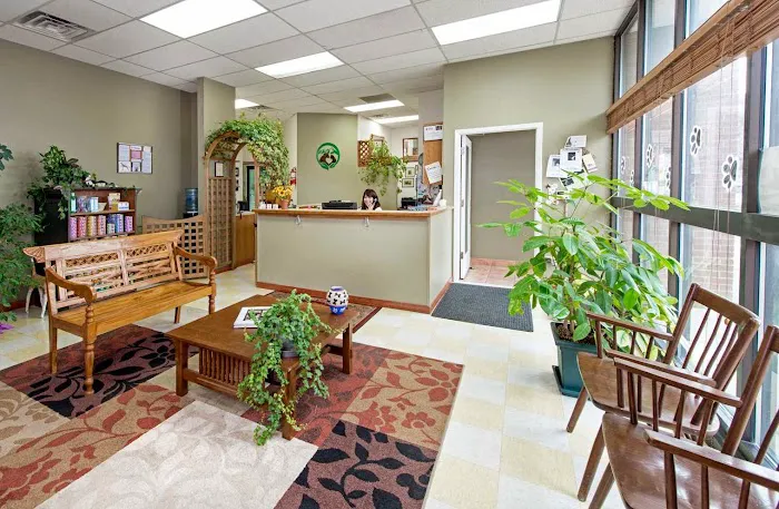 Boulder's Natural Animal Hospital Picture 2